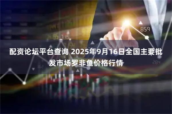 配资论坛平台查询 2025年9月16日全国主要批发市场罗非鱼价格行情
